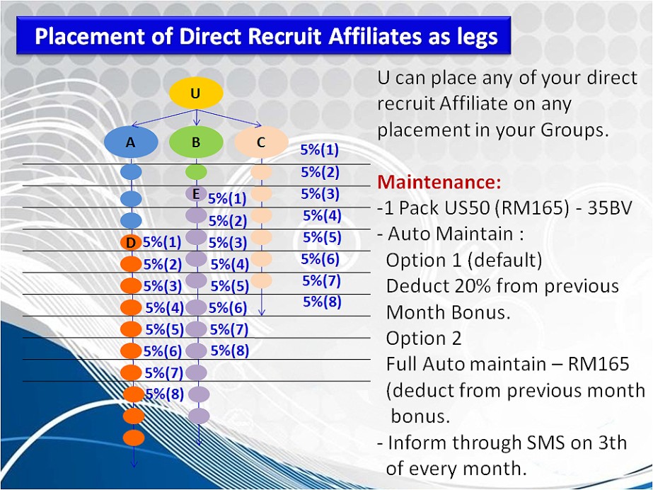 Global Repeat Sales Bonus